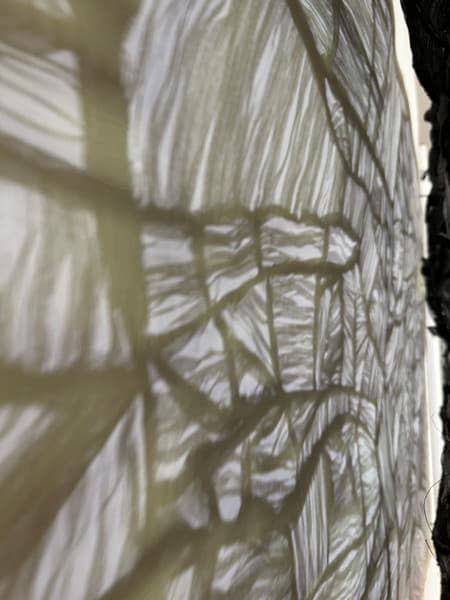 Close detail of translucent mesh and shadow in a J9 Stanton work connected with the Flinders Lane Gallery exploration announcement.
